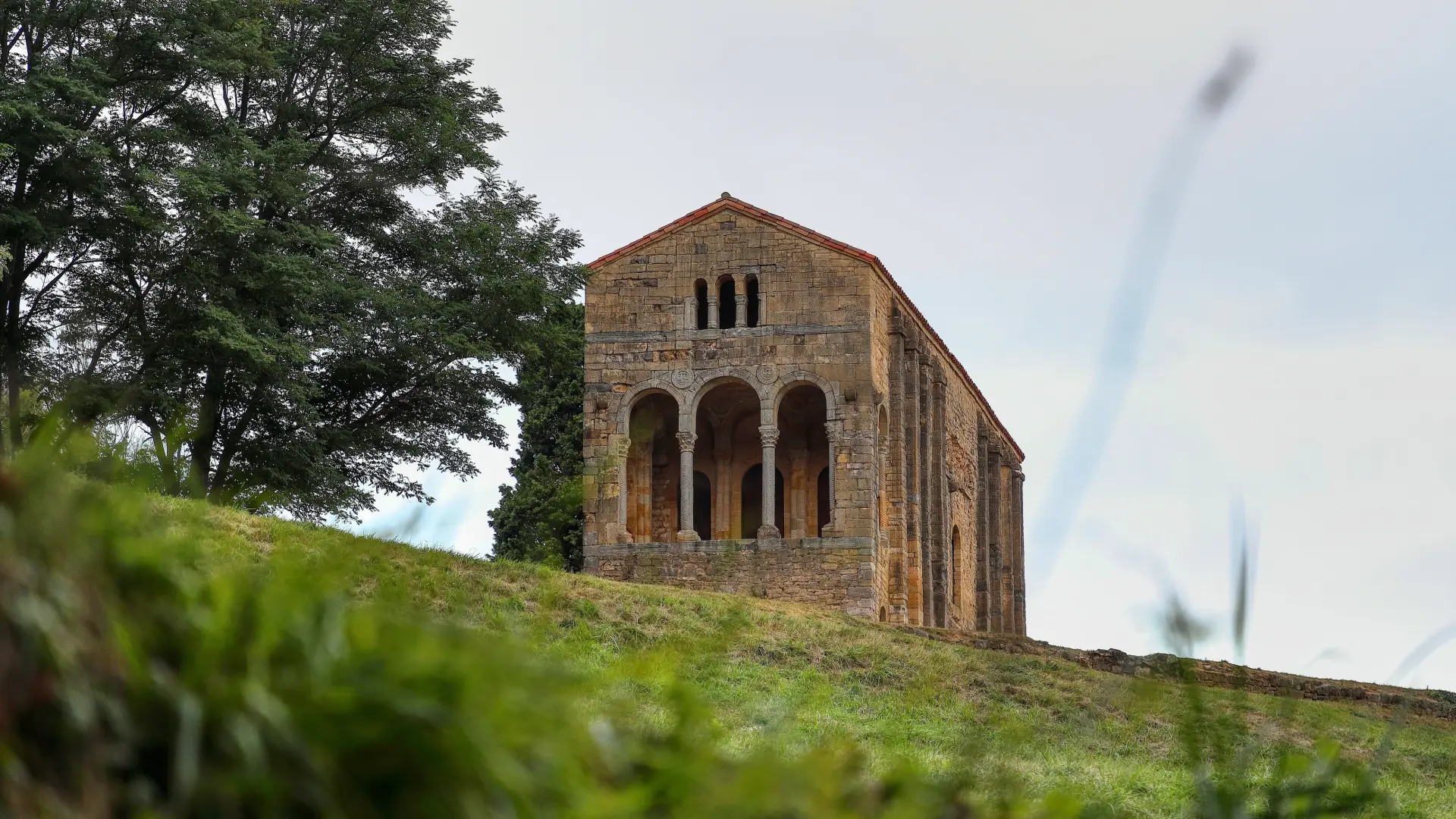 Reines Campillin, Oviedo, Asturias.