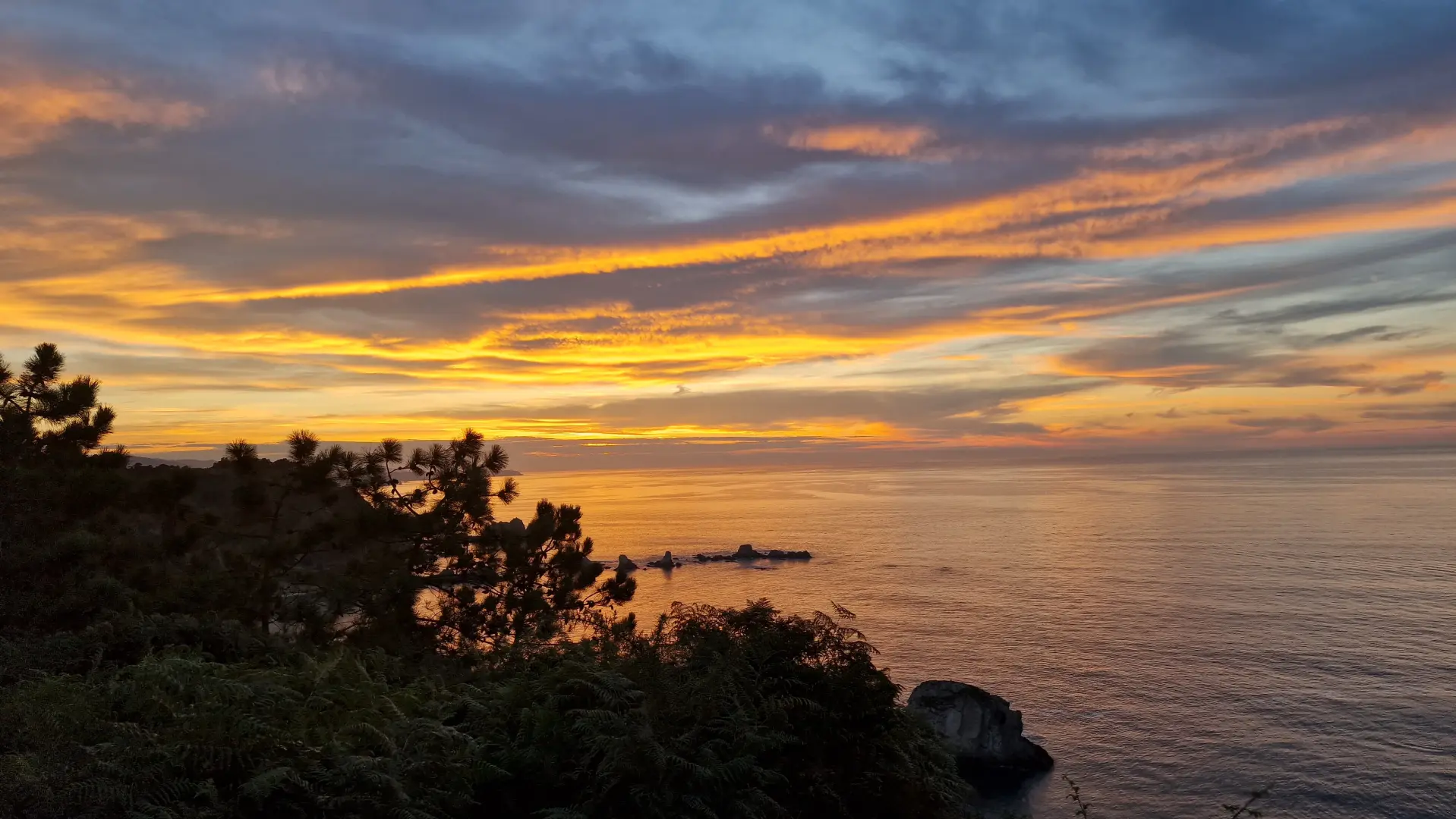 Reines Soto del Barco, Asturias.