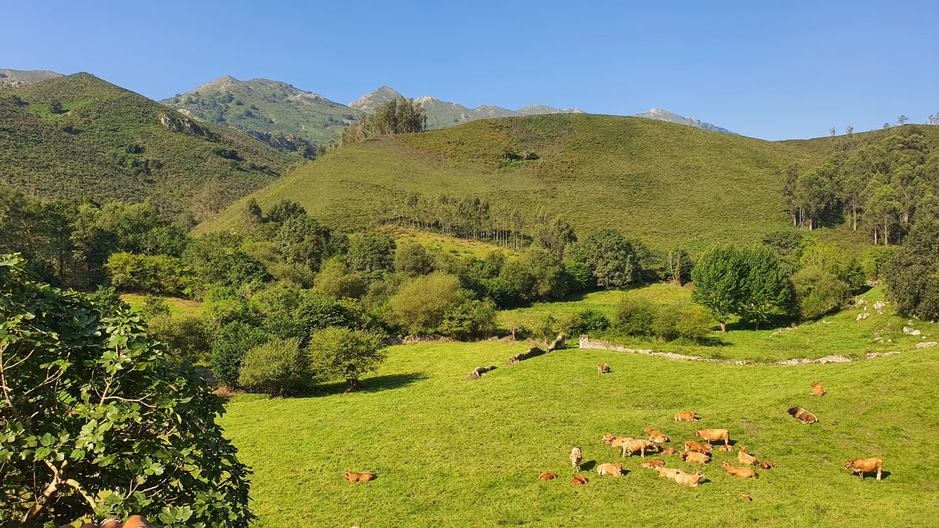 Reines Mieres, Asturias.