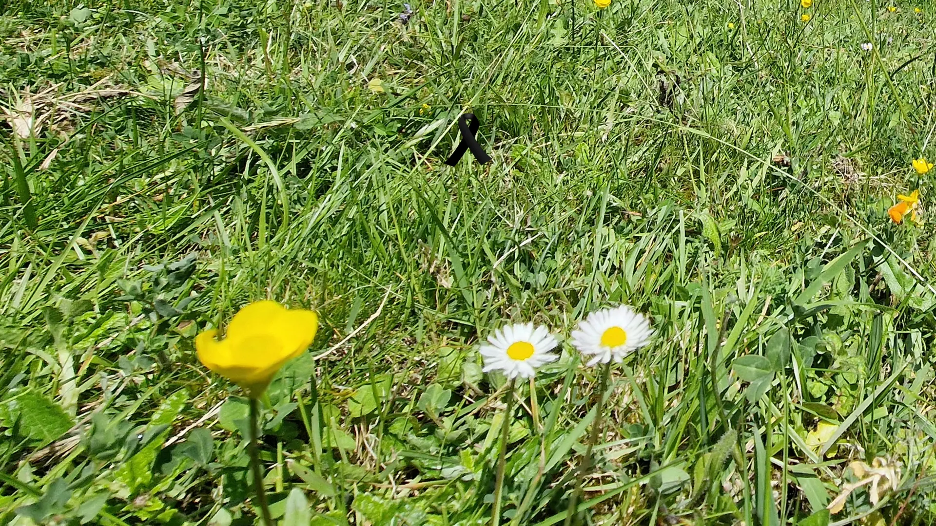Reines Unquera, Cantabria.