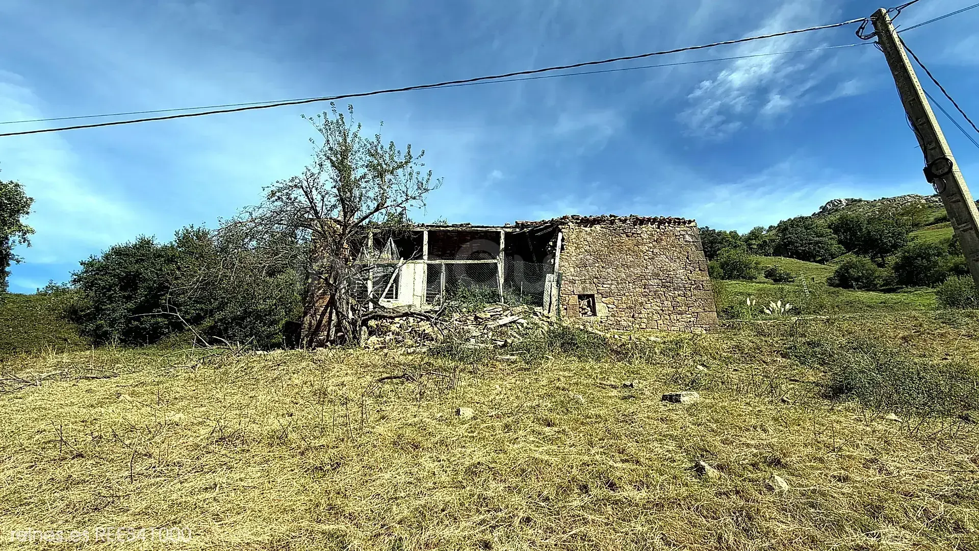 Imagen 7