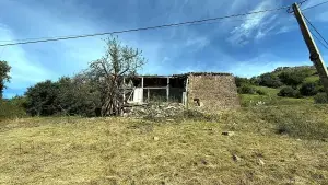 Imagen 7