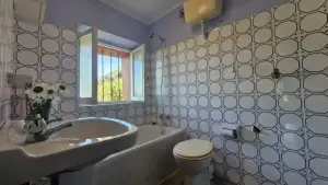 图片 44