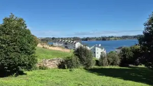 Video 1