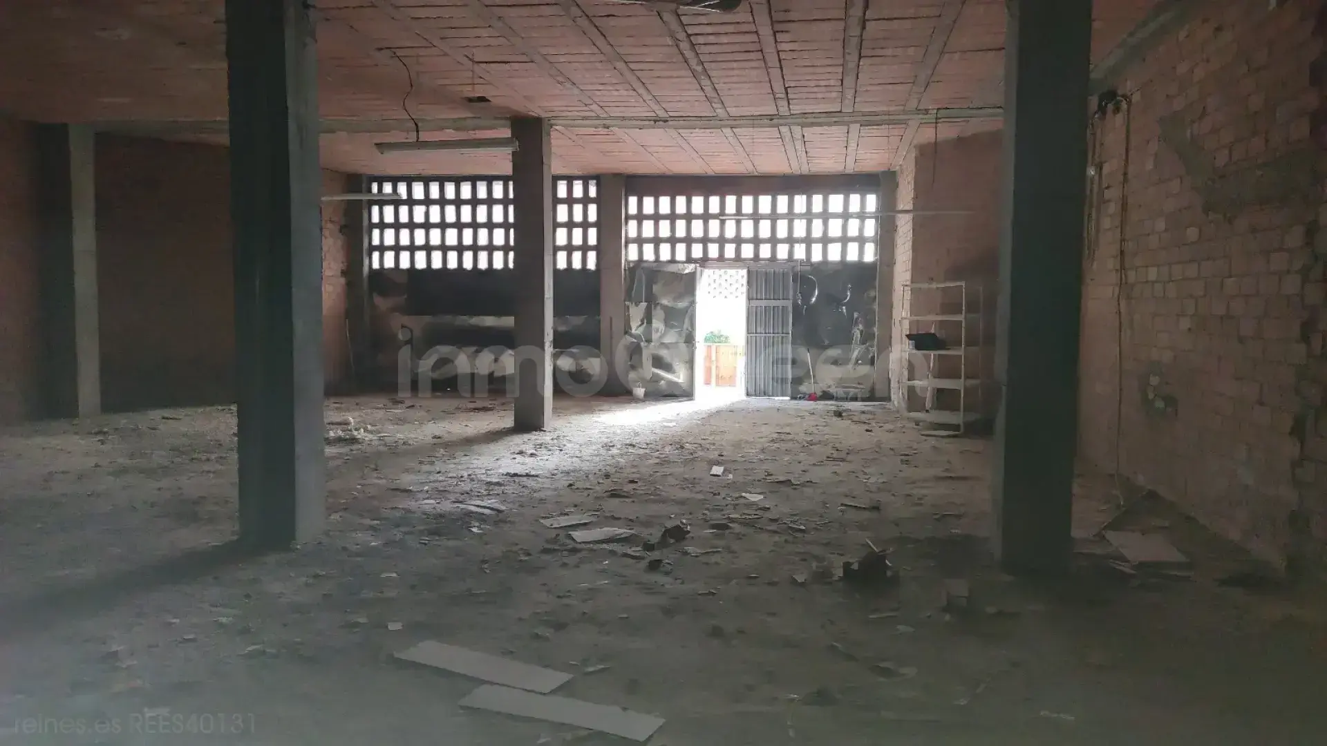Imagen 2