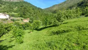 Imagen 4