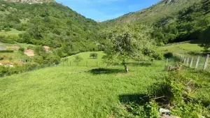 Imagen 6