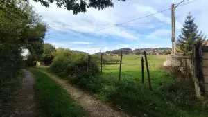 Imagen 6