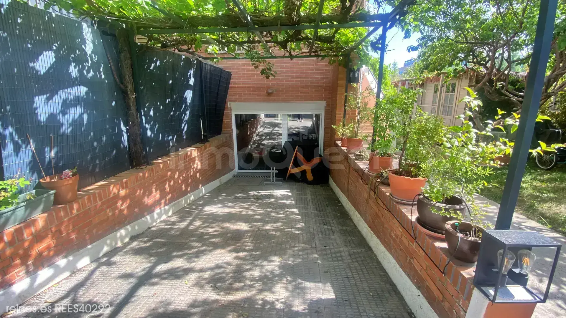 Imagen 26