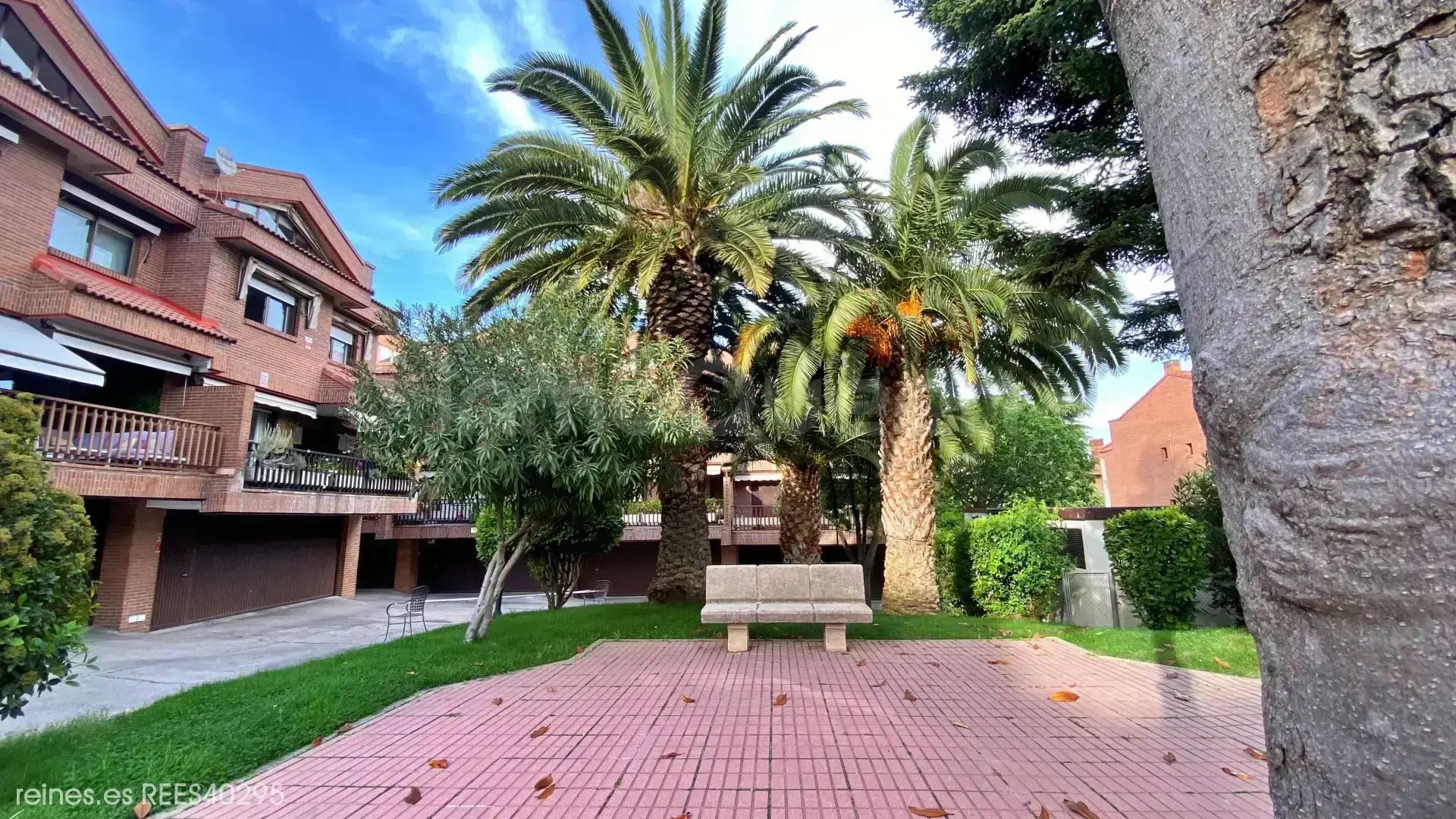 图片 49