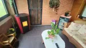 Imagen 9