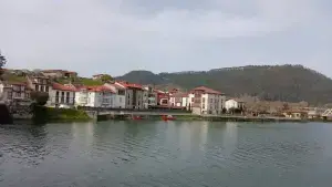 Imagen 11