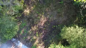 Video 1