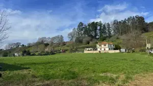 Imagen 6