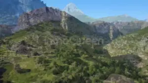 Video 1