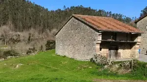 Imagen 6