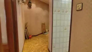 Video 1