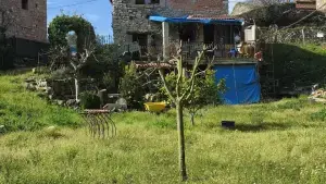 Imagen 27