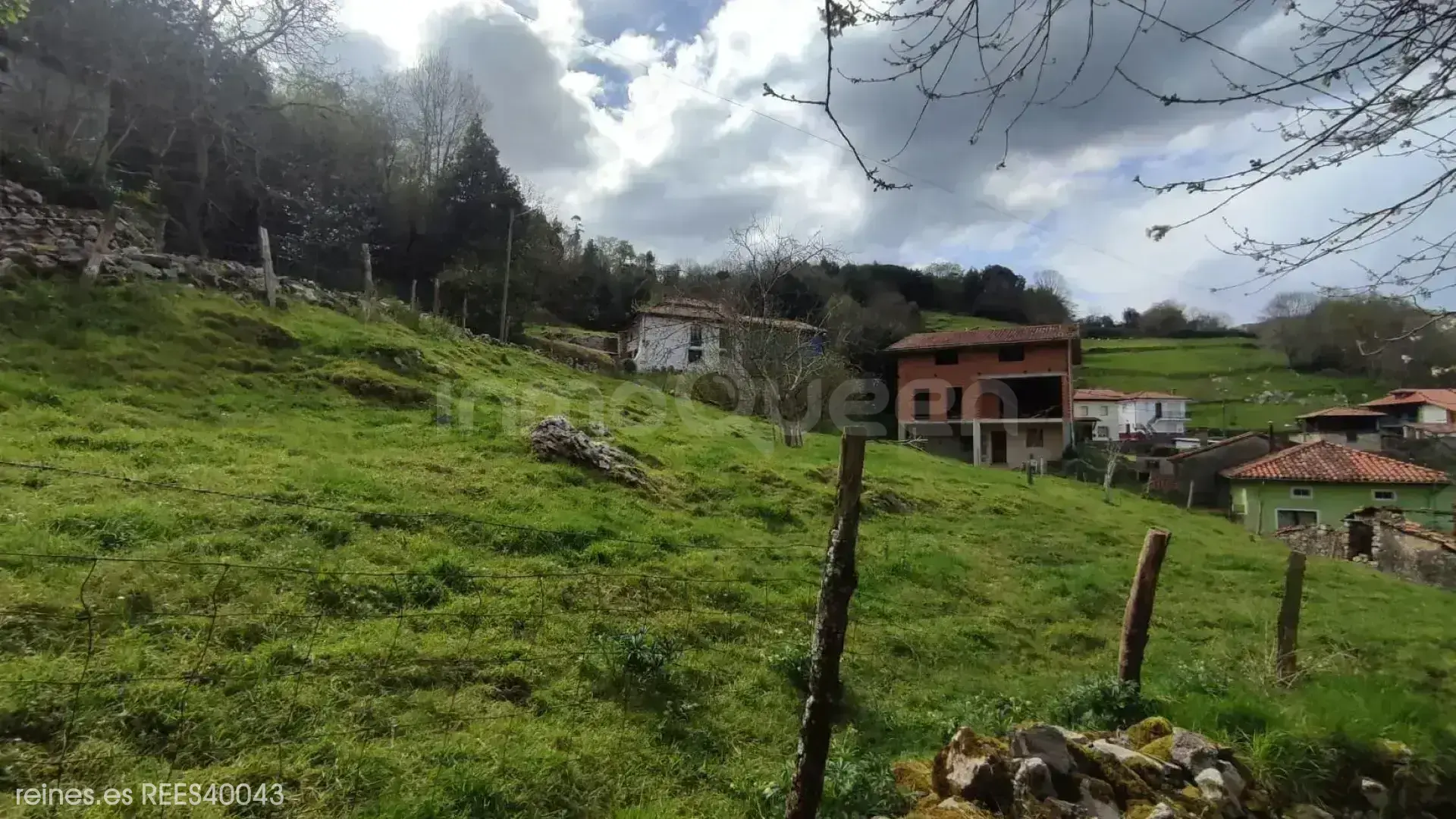 Imagen 4