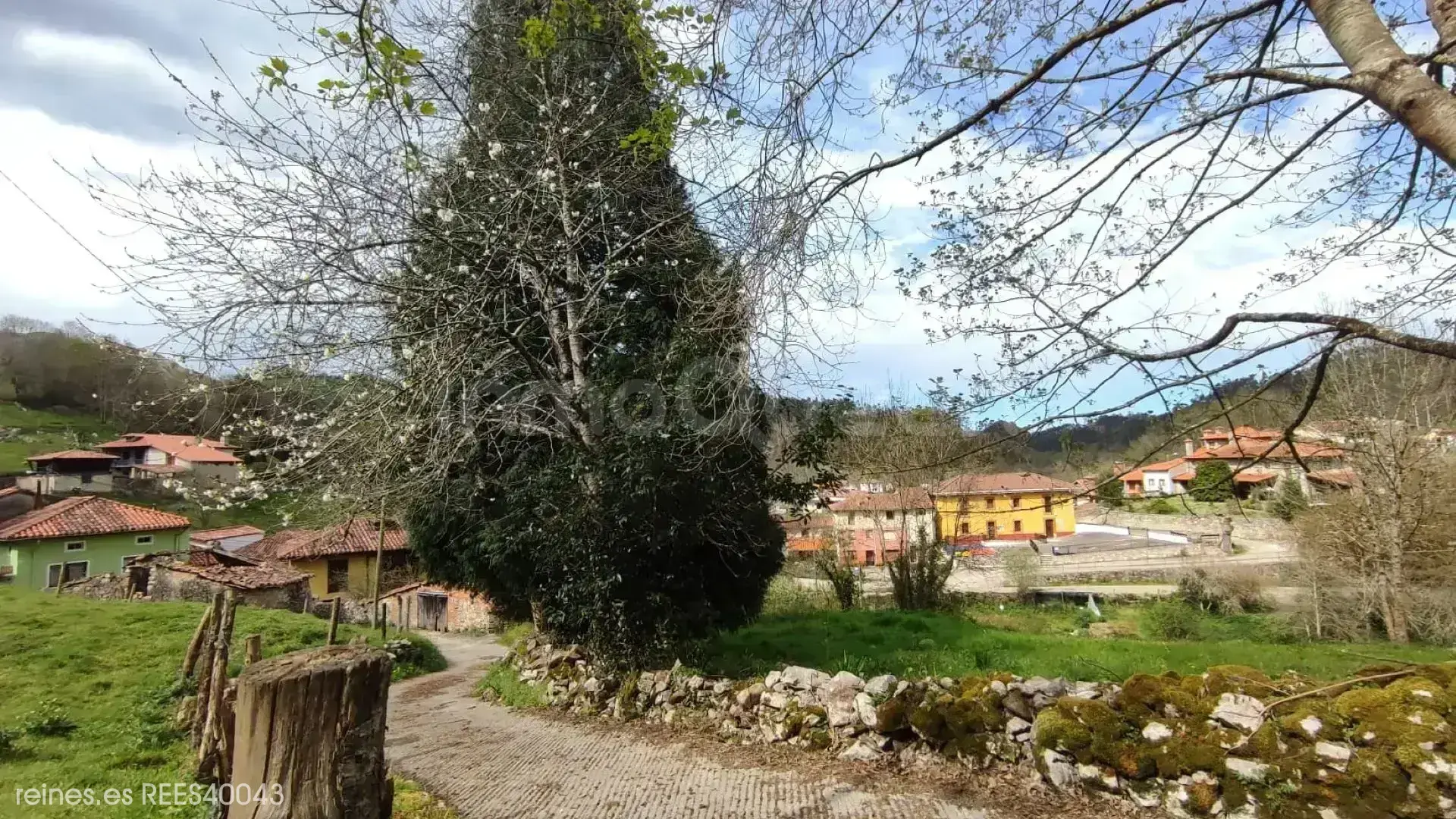Imagen 6