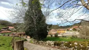 Imagen 6