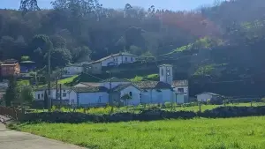 Imagen 7