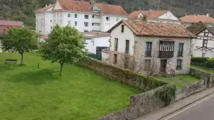Image 15