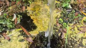 Video 3
