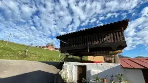 Imagen 4