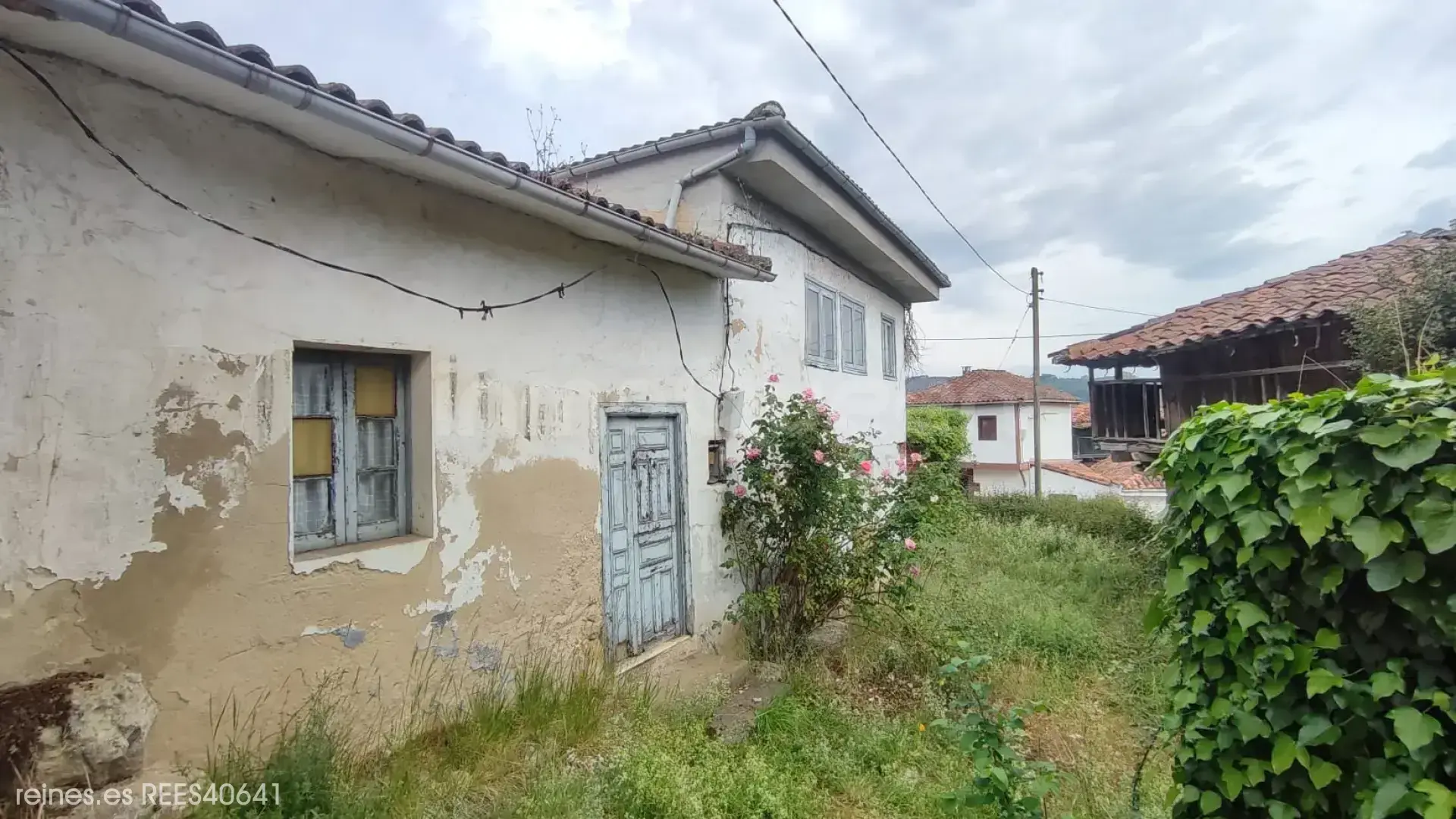 Imagen 2