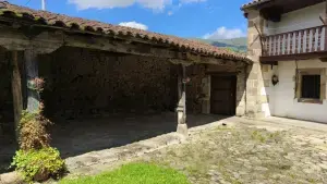 Imagen 5