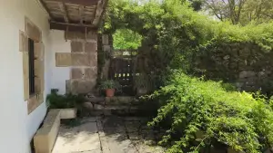 Imagen 6