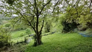 Imagen 7