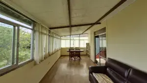 Imagen 19
