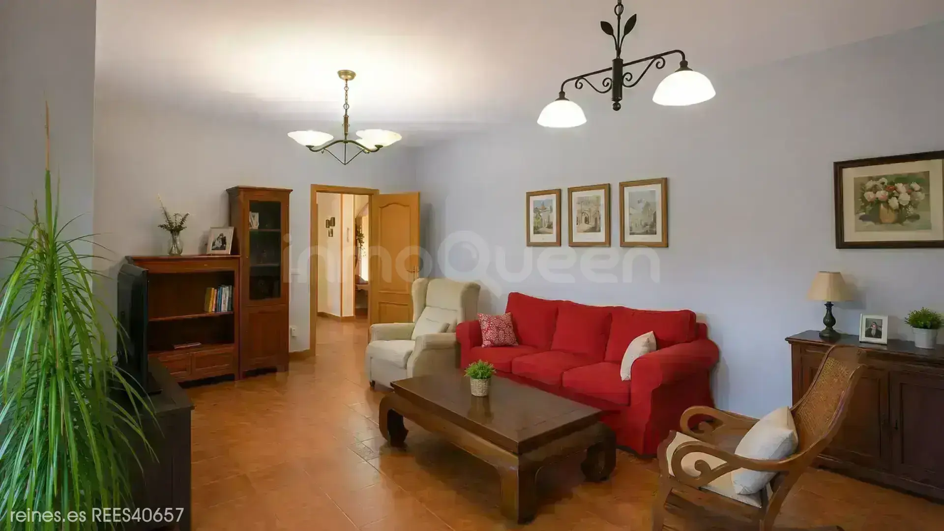 Imagen 20