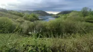 Imagen 7