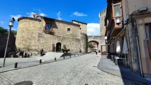 Imagen 28