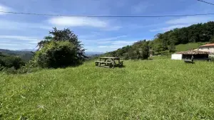 Imagen 25