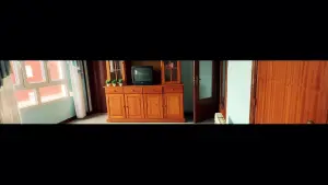 Video 1