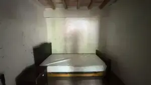 图片 12