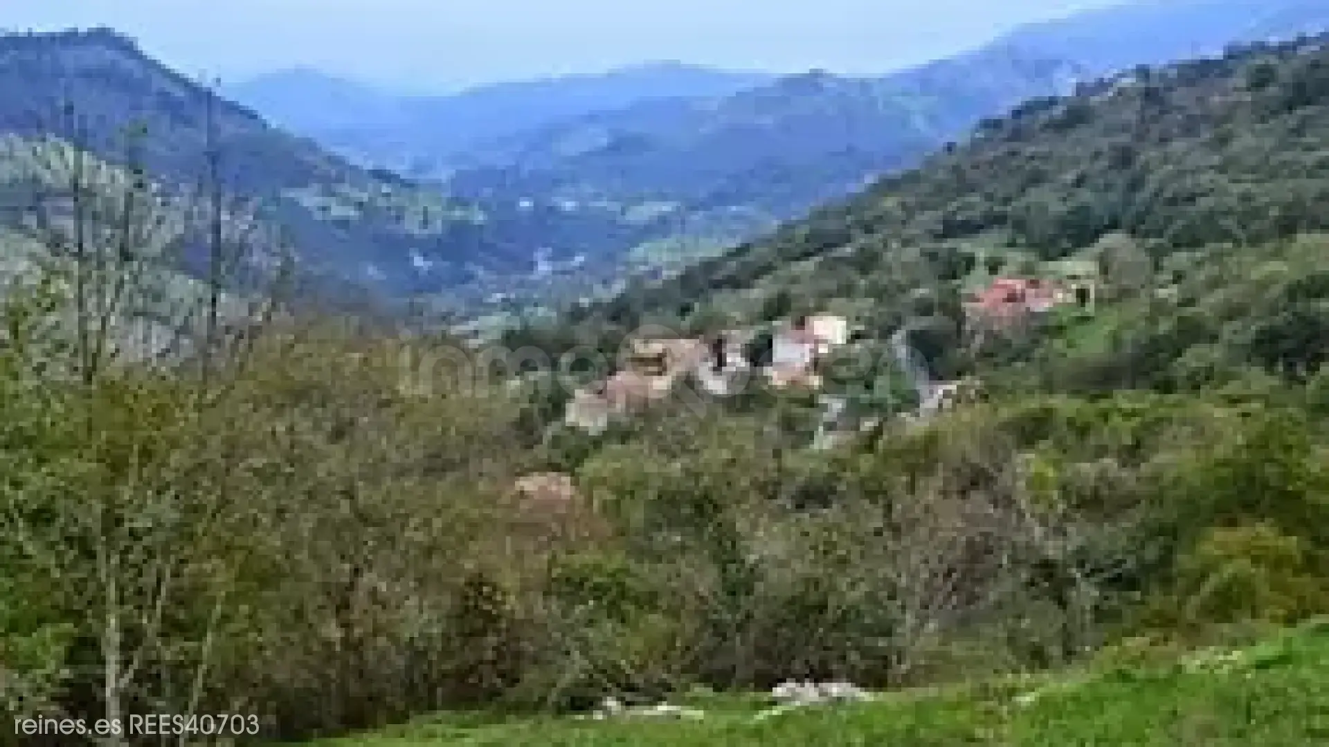 Imagen 6