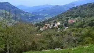 Imagen 6