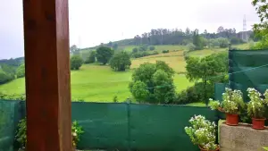 Imagen 22