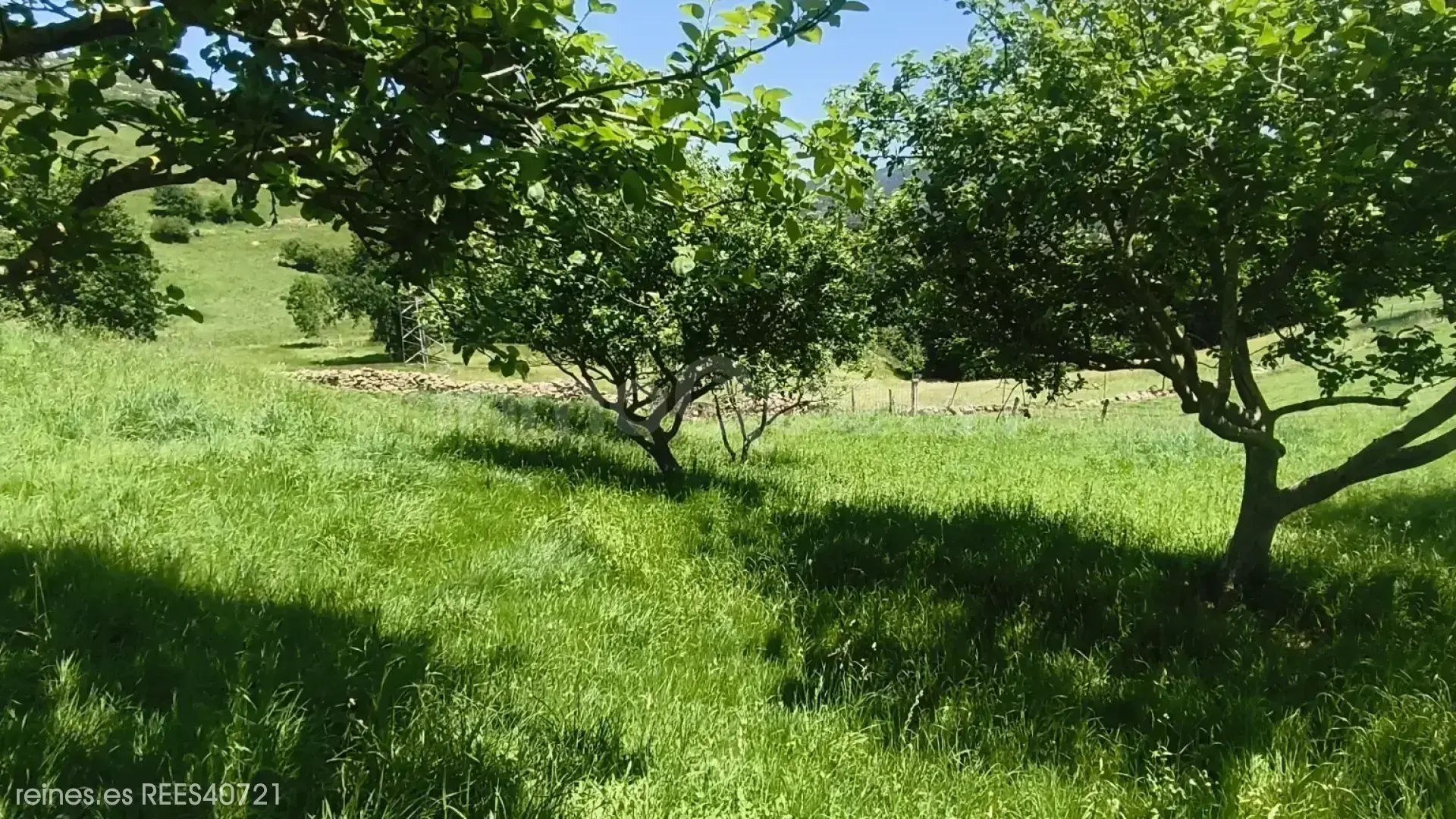Imagen 7