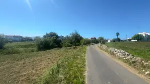 Video 1
