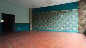Imagen 4