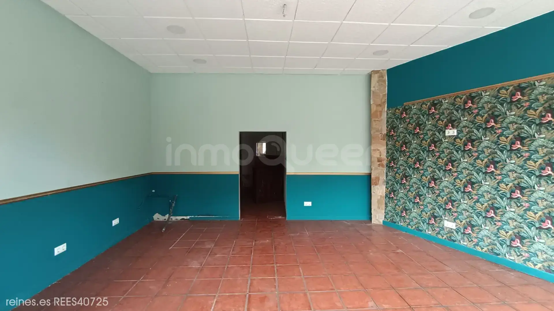 Imagen 2