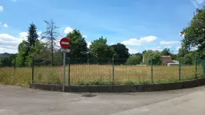 Image 6