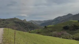 Video 1