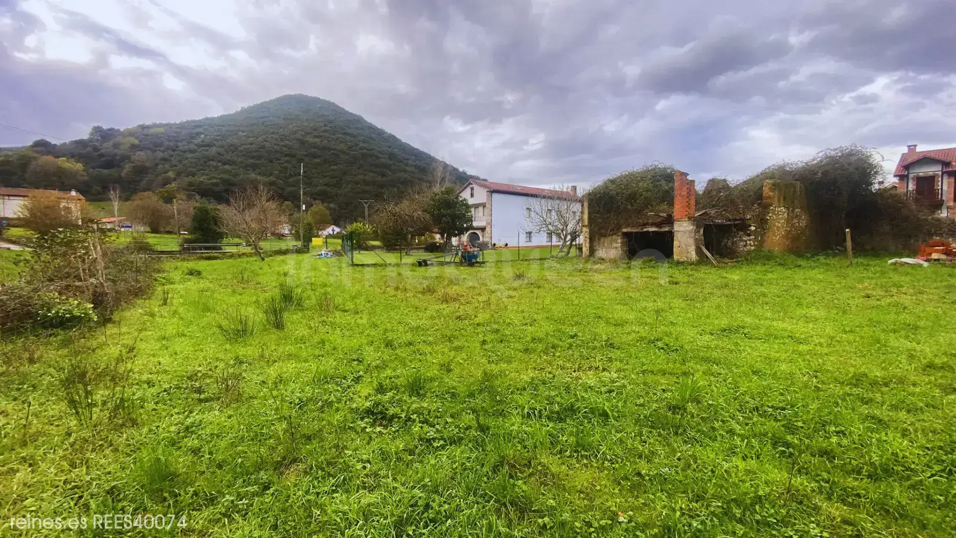 Imagen 4